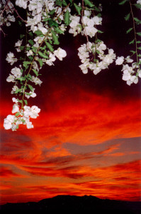 firesky